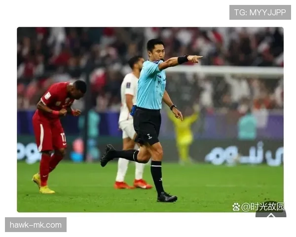 足球主裁判 足球主裁判