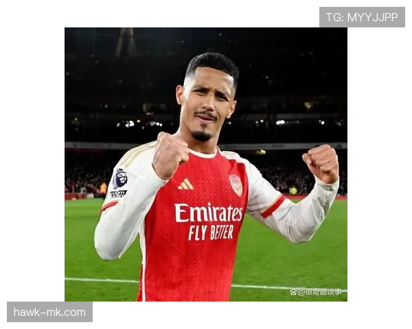 萨利巴回归阿森纳后坐稳主力中卫解析